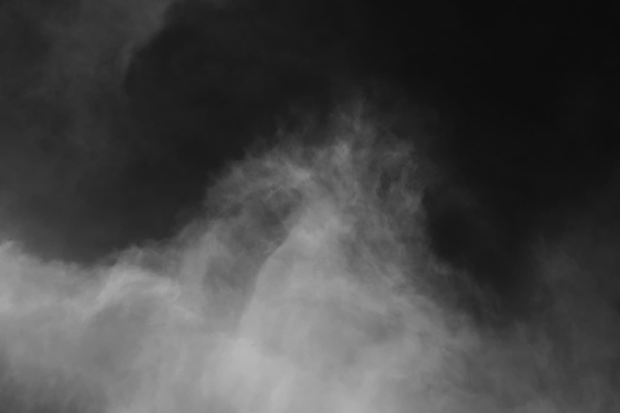 Gallery image 13