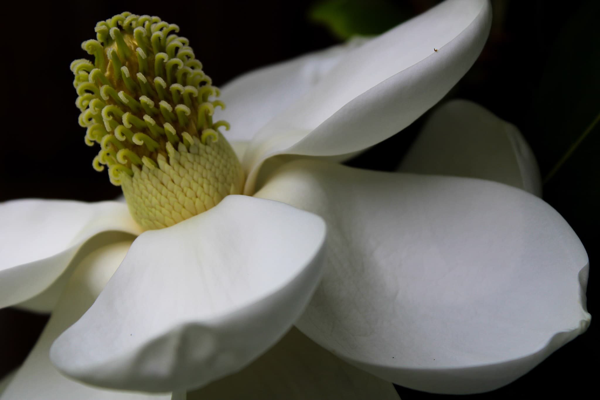 Slideshow 1