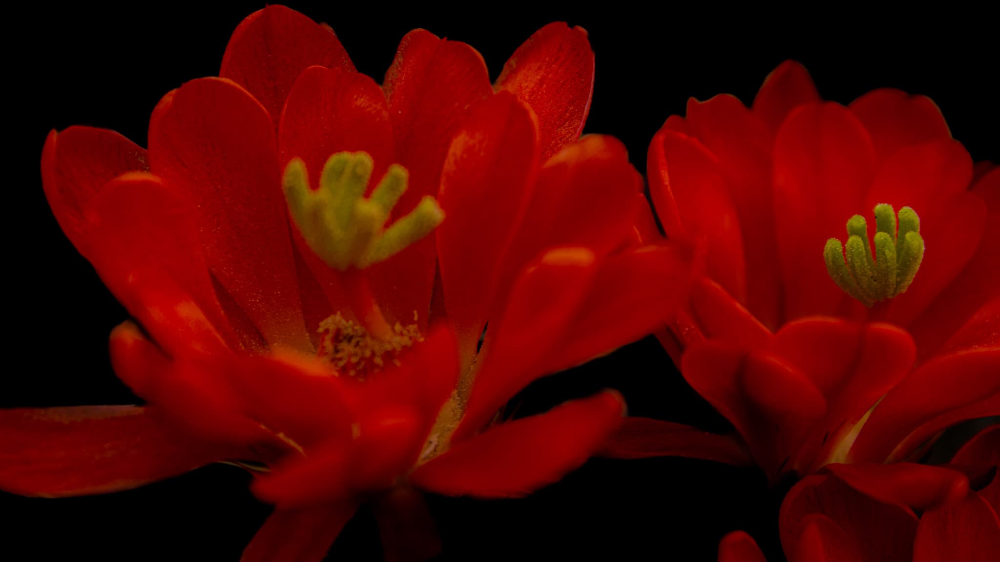 Slideshow 7
